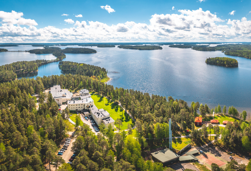 Kruunupuisto ja sen ympäristö ilmasta kuvattuna.